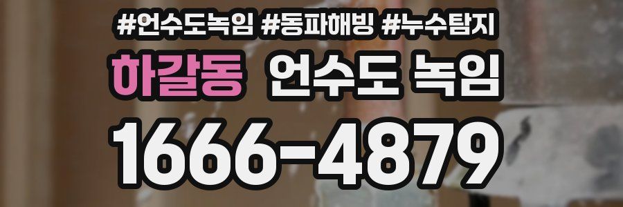 하갈동 언수도 녹임