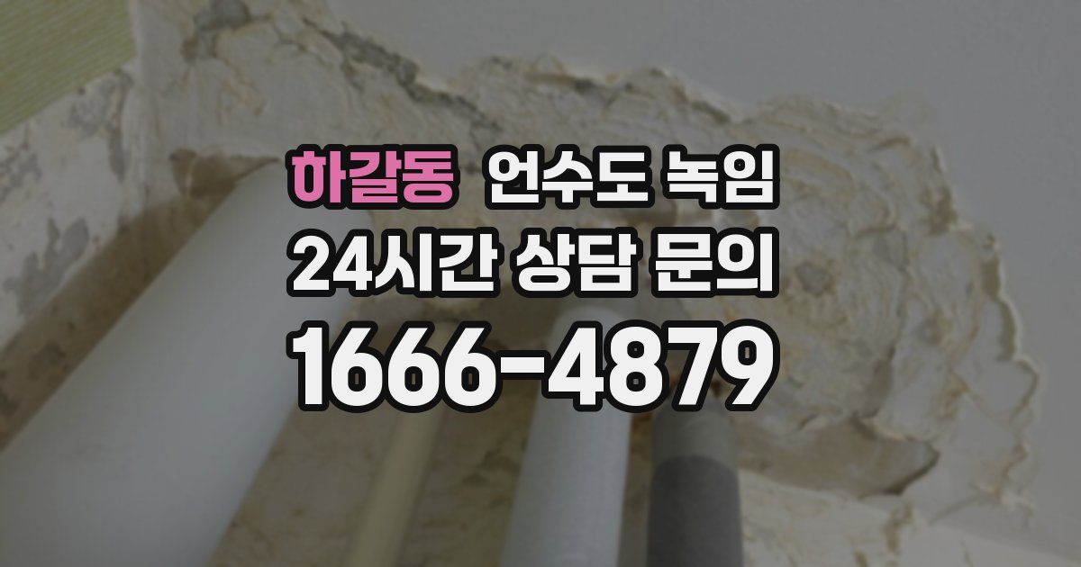 하갈동 언수도 녹임