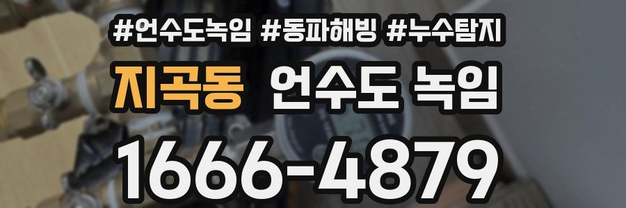 지곡동 언수도 녹임