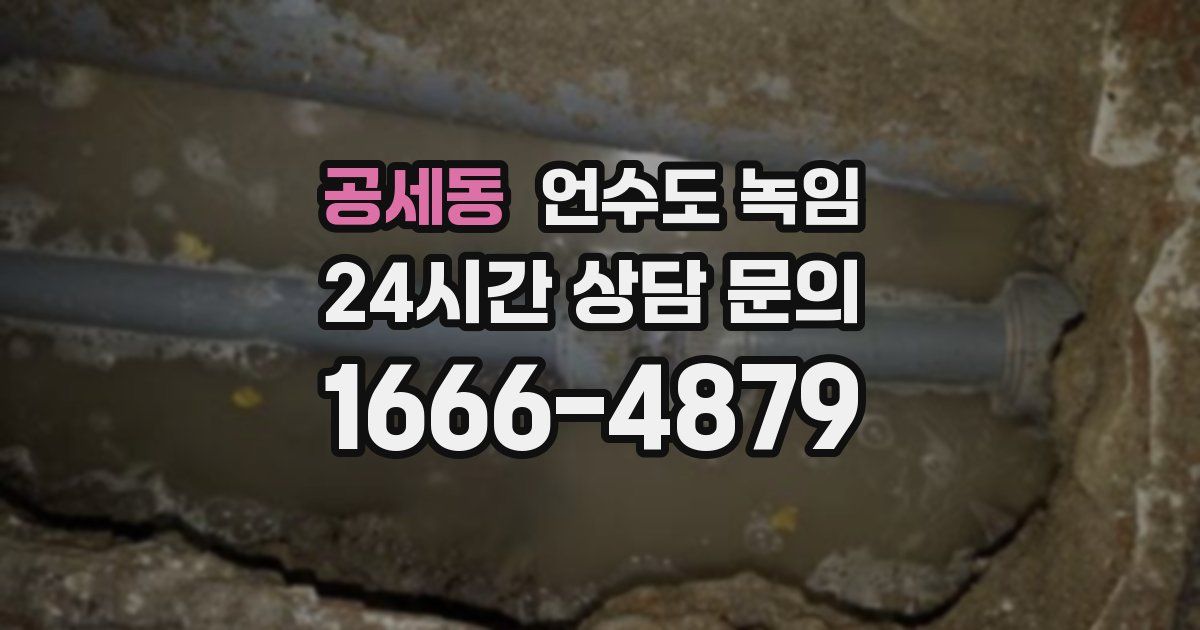 공세동 언수도 녹임