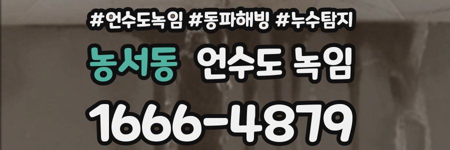 농서동 언수도 녹임