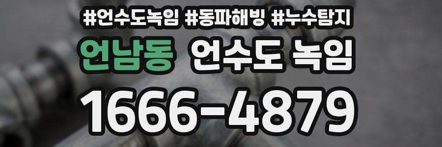 언남동 언수도 녹임