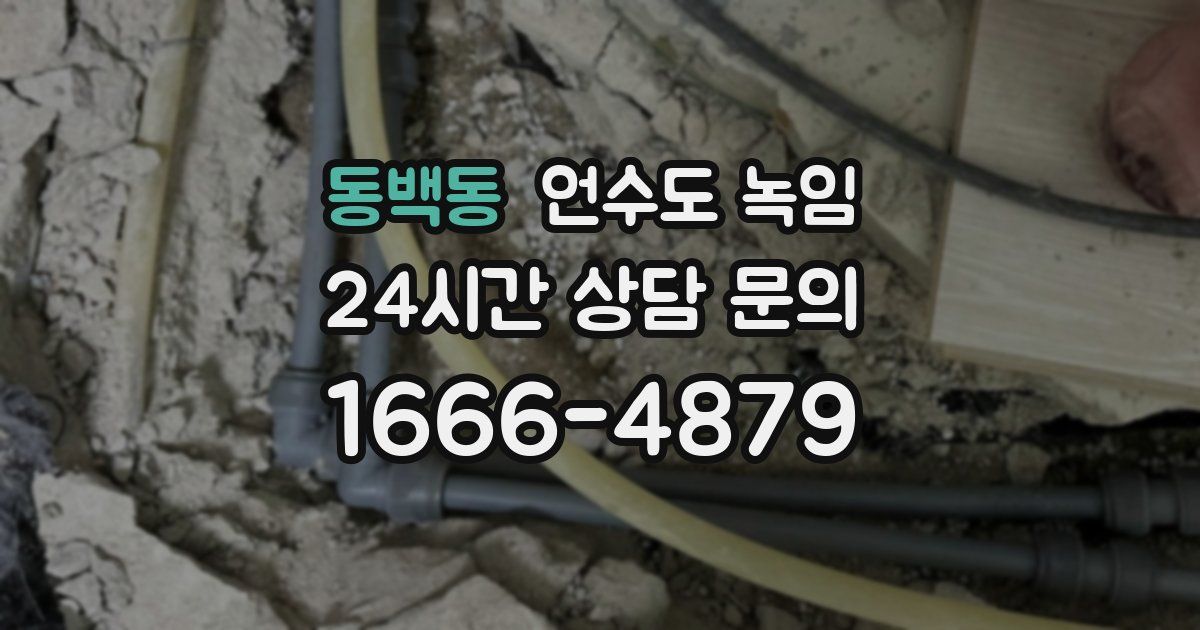 동백동 언수도 녹임