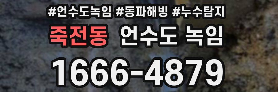 죽전동 언수도 녹임