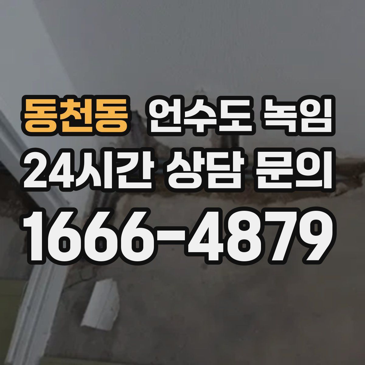 동천동 언수도 녹임