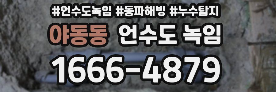 야동동 언수도 녹임