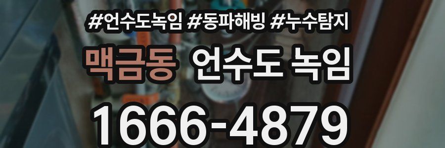 맥금동 언수도 녹임