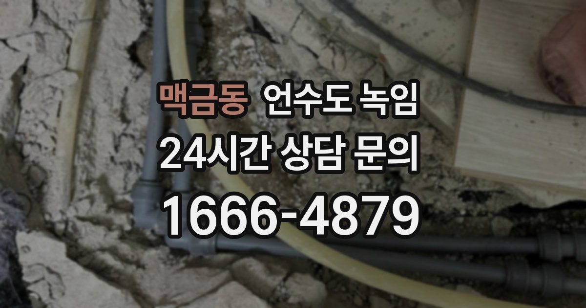 맥금동 언수도 녹임