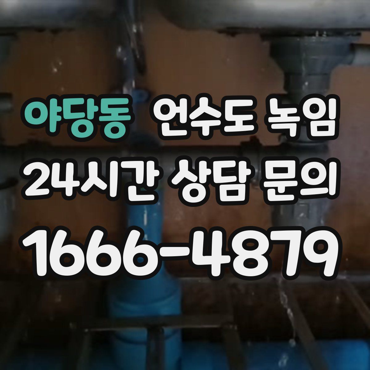 야당동 언수도 녹임