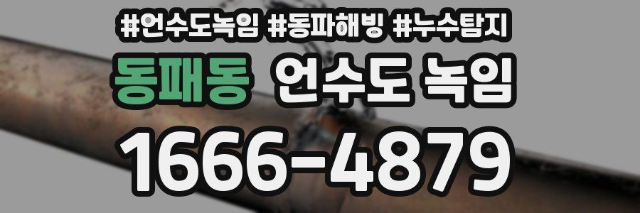 동패동 언수도 녹임