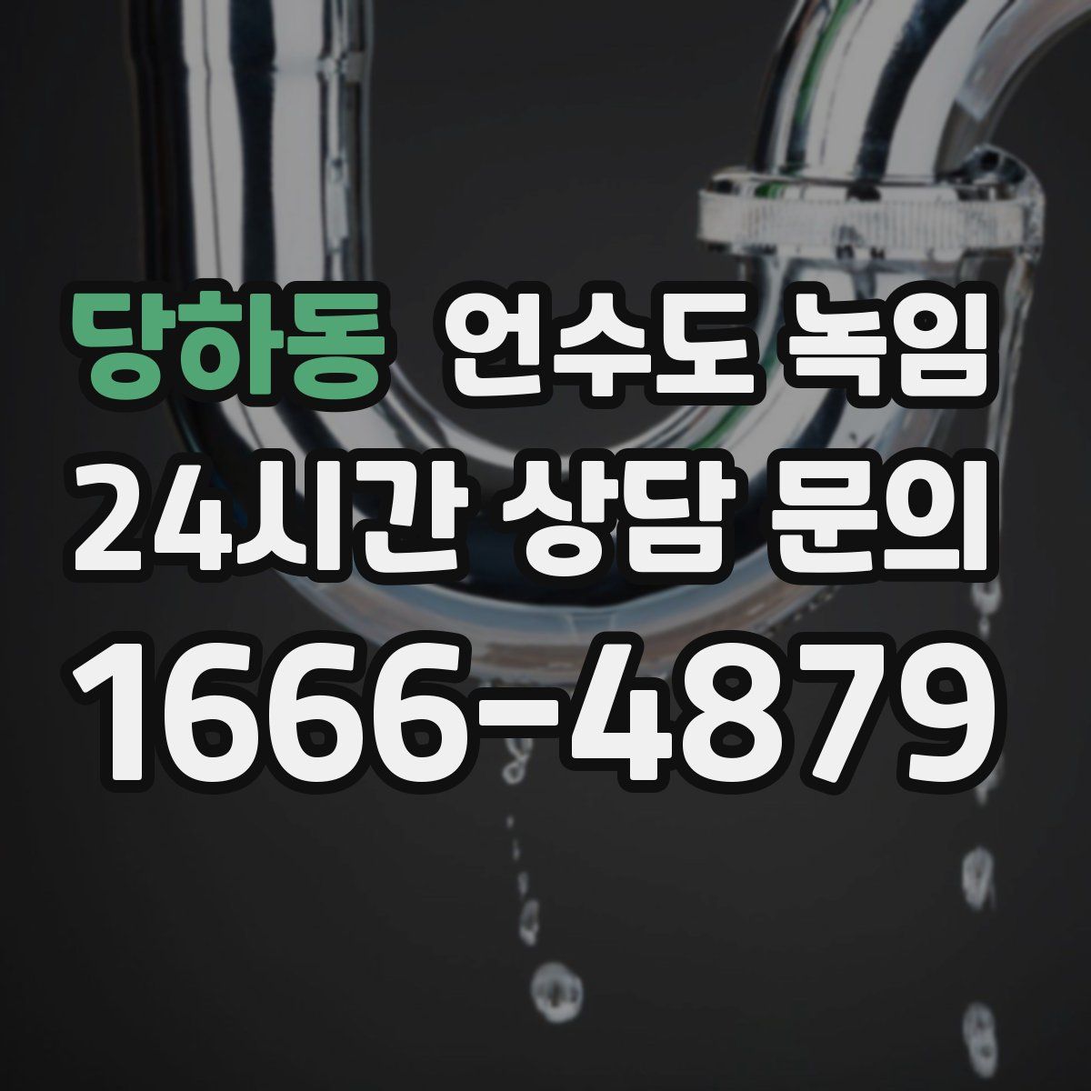 당하동 언수도 녹임