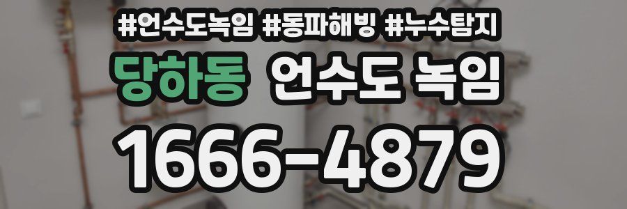 당하동 언수도 녹임