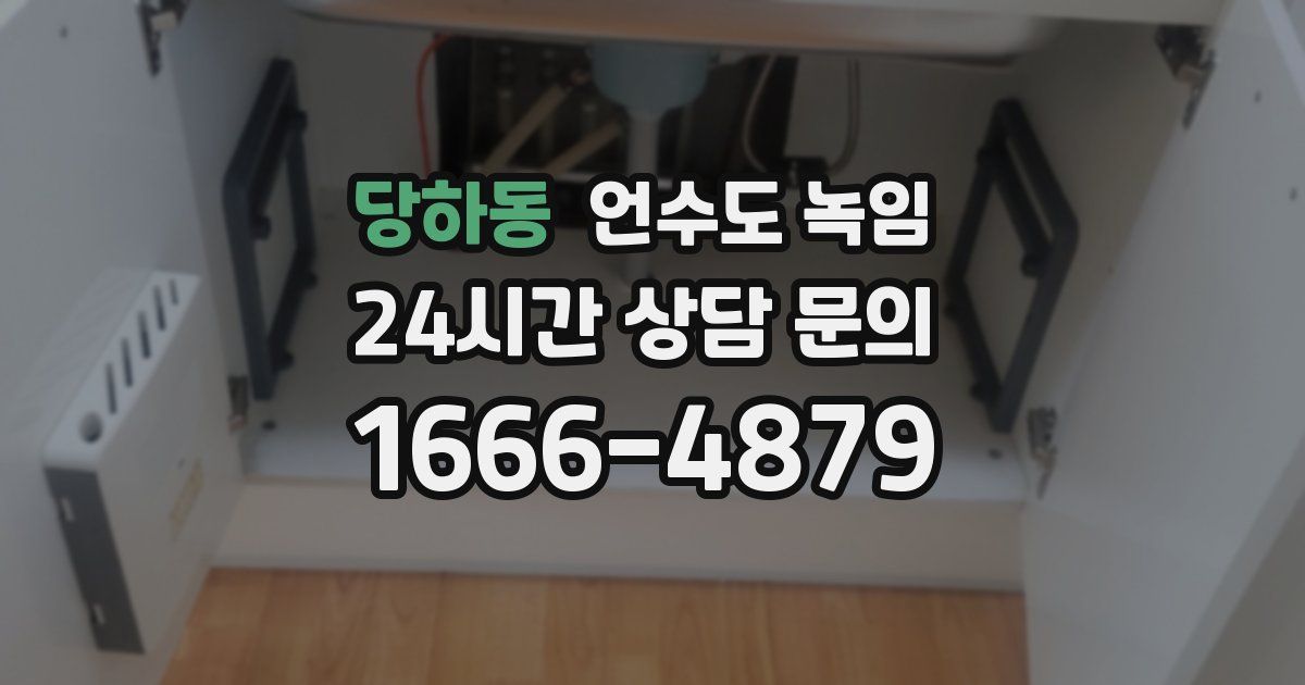 당하동 언수도 녹임