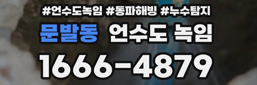 문발동 언수도 녹임