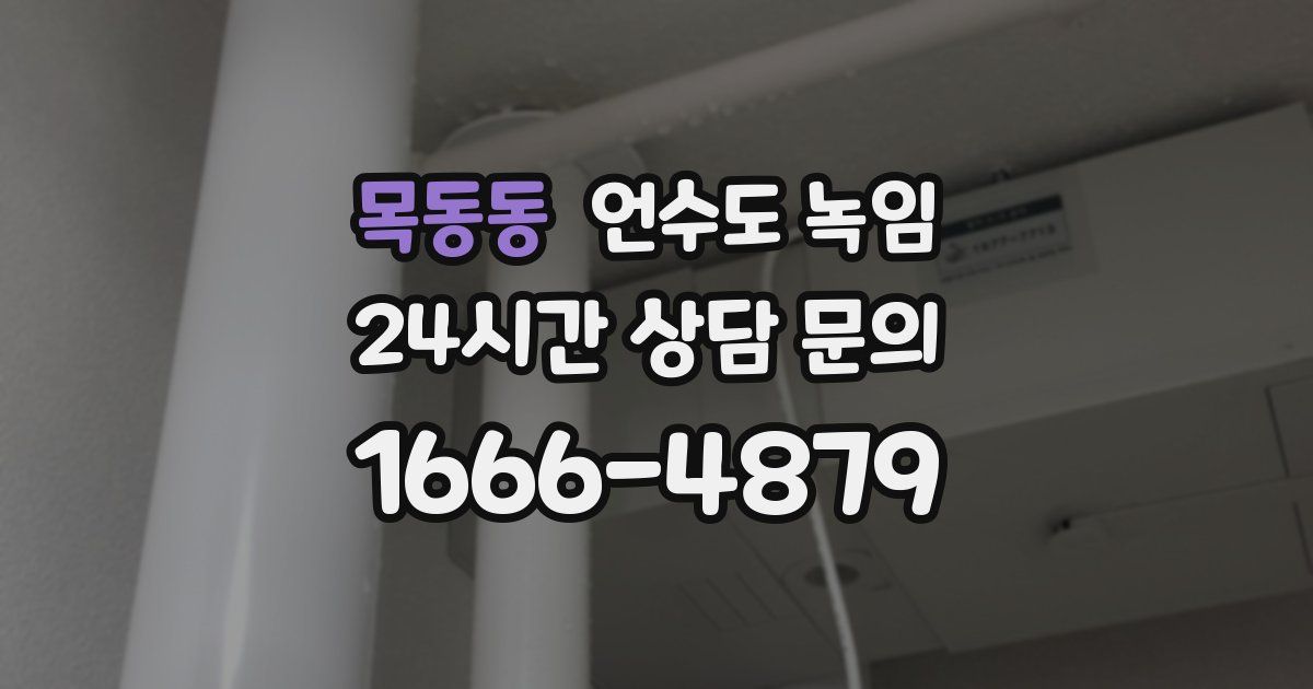 목동동 언수도 녹임