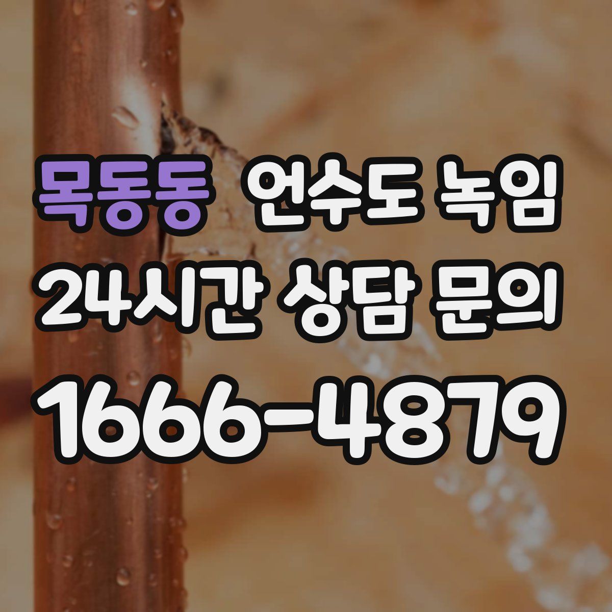 목동동 언수도 녹임