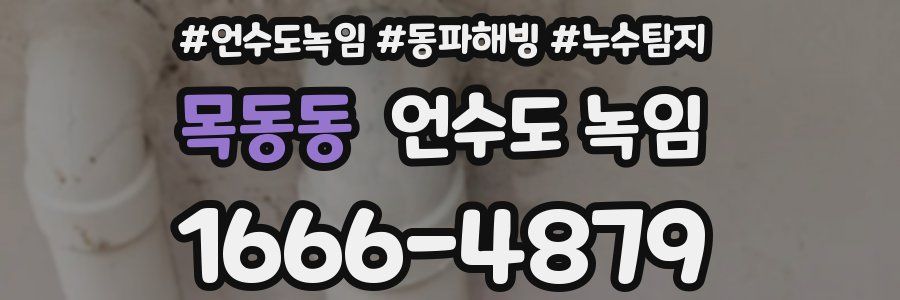 목동동 언수도 녹임