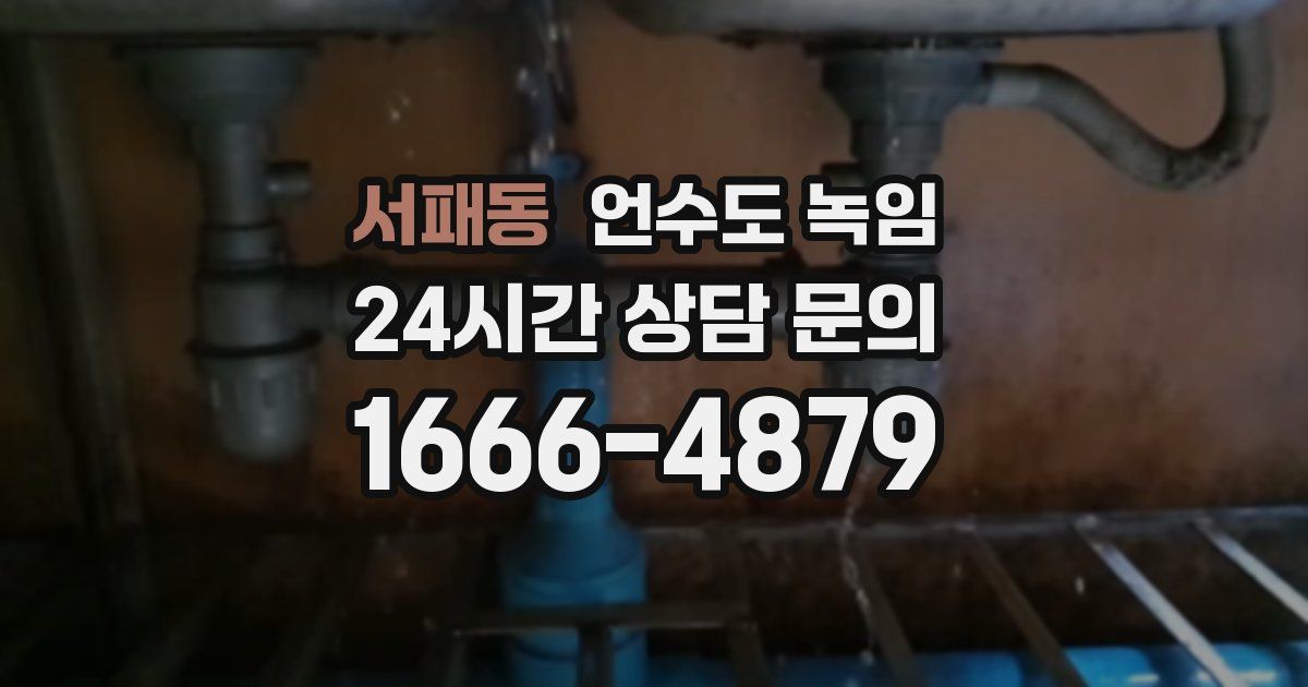 서패동 언수도 녹임