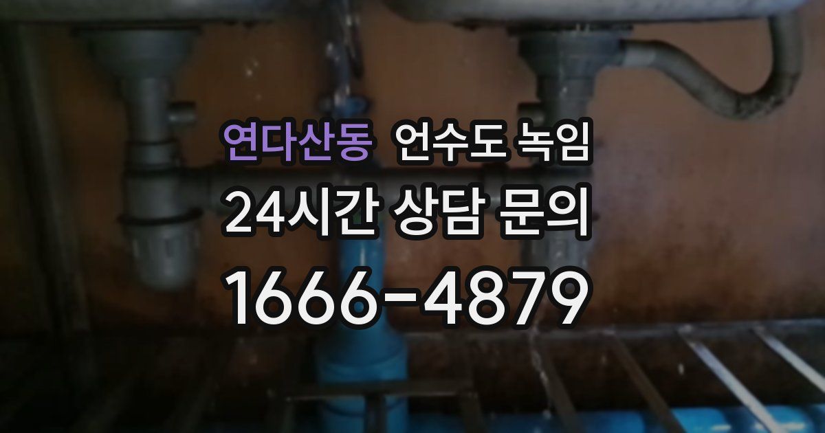 연다산동 언수도 녹임