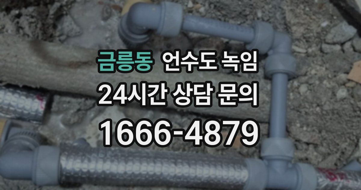 금릉동 언수도 녹임