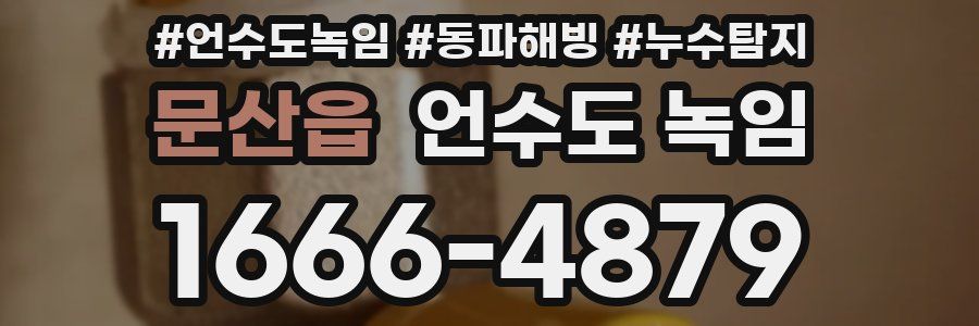 문산읍 언수도 녹임