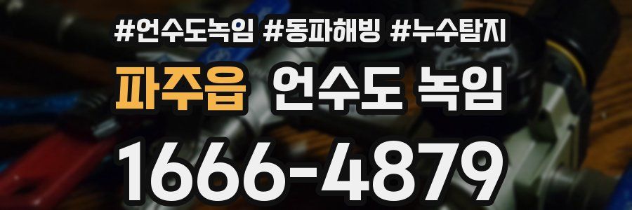 파주읍 언수도 녹임