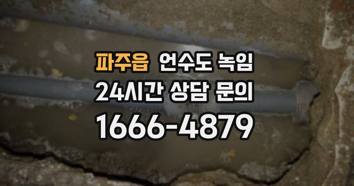 파주읍 언수도 녹임