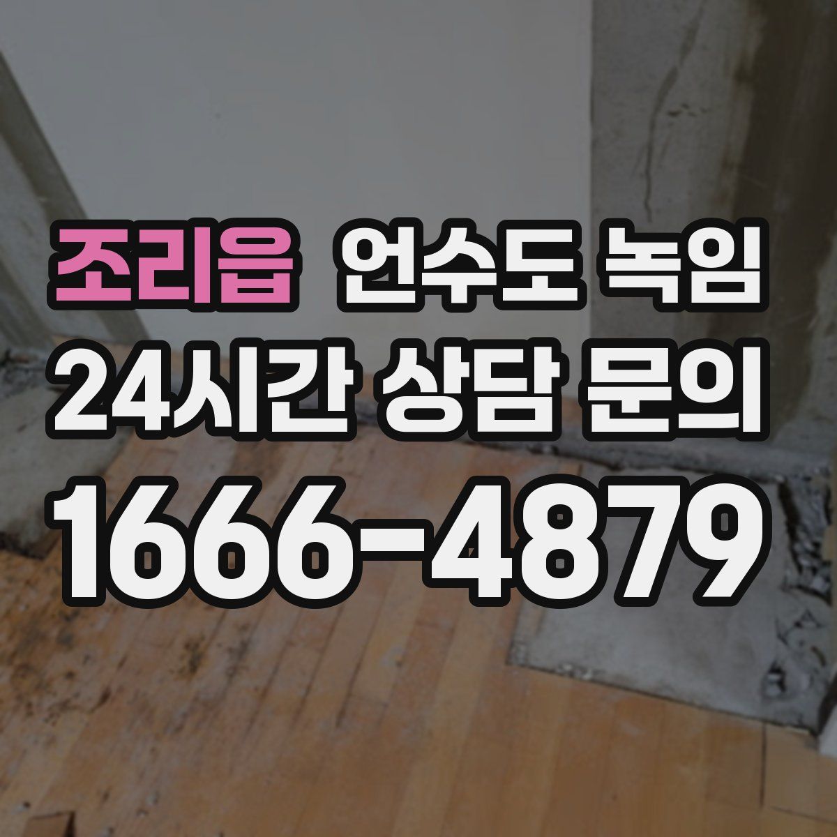 조리읍 언수도 녹임