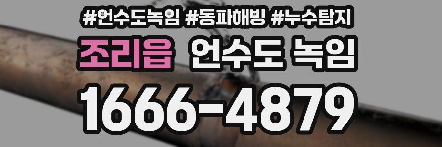 조리읍 언수도 녹임