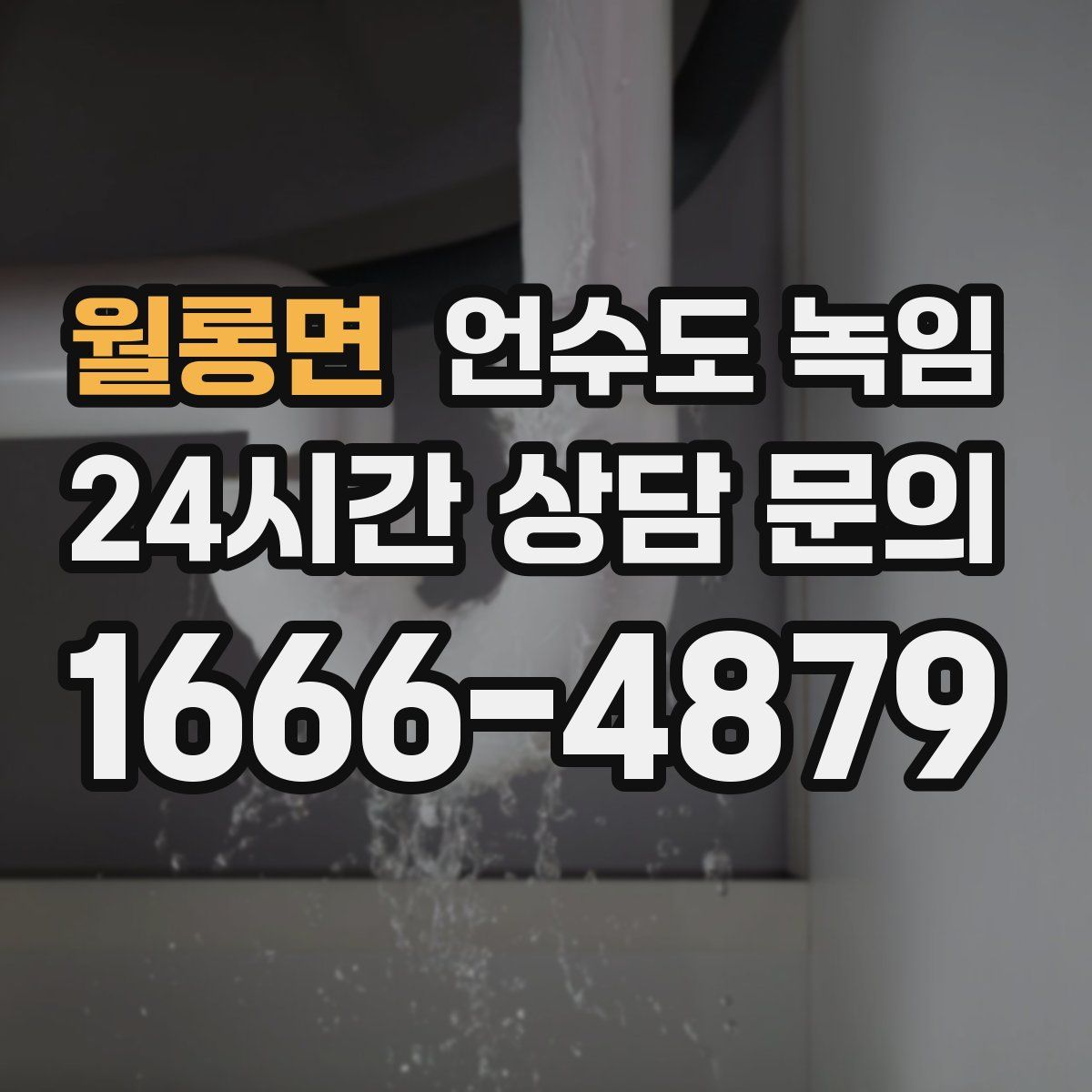 월롱면 언수도 녹임