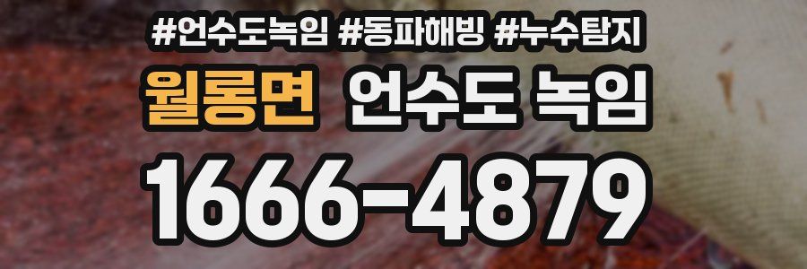 월롱면 언수도 녹임