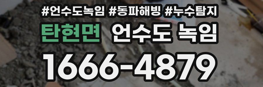 탄현면 언수도 녹임