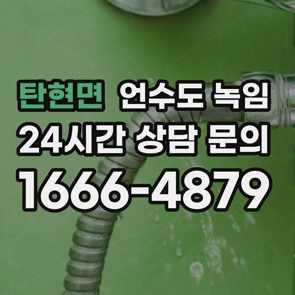 탄현면 언수도 녹임