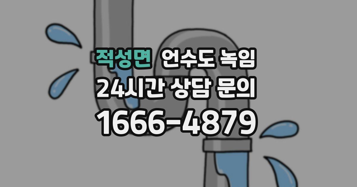 적성면 언수도 녹임