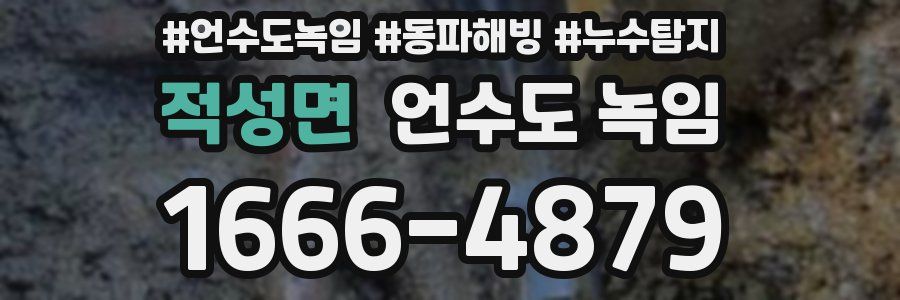 적성면 언수도 녹임