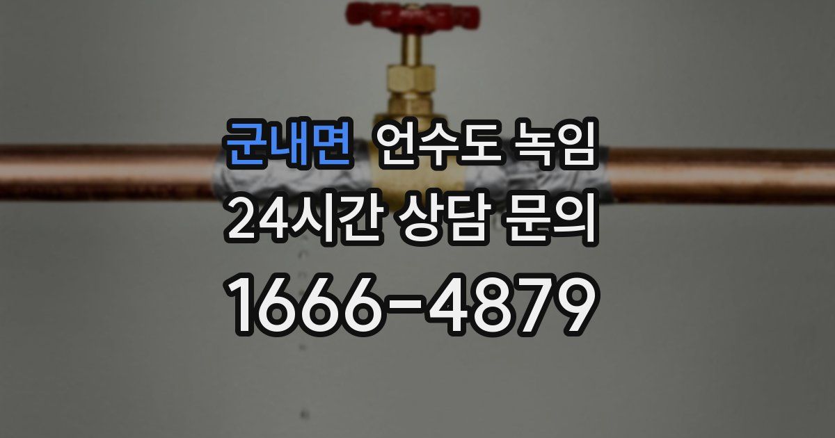 군내면 언수도 녹임