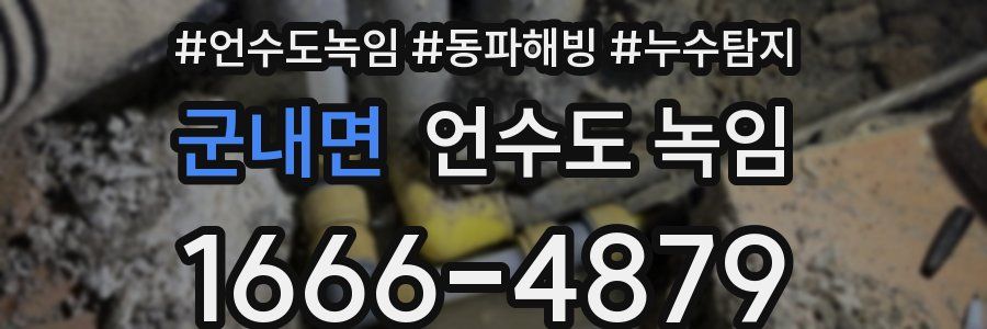 군내면 언수도 녹임