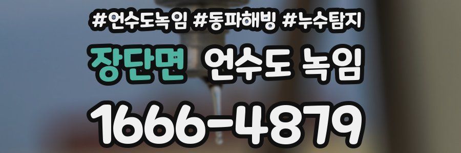 장단면 언수도 녹임