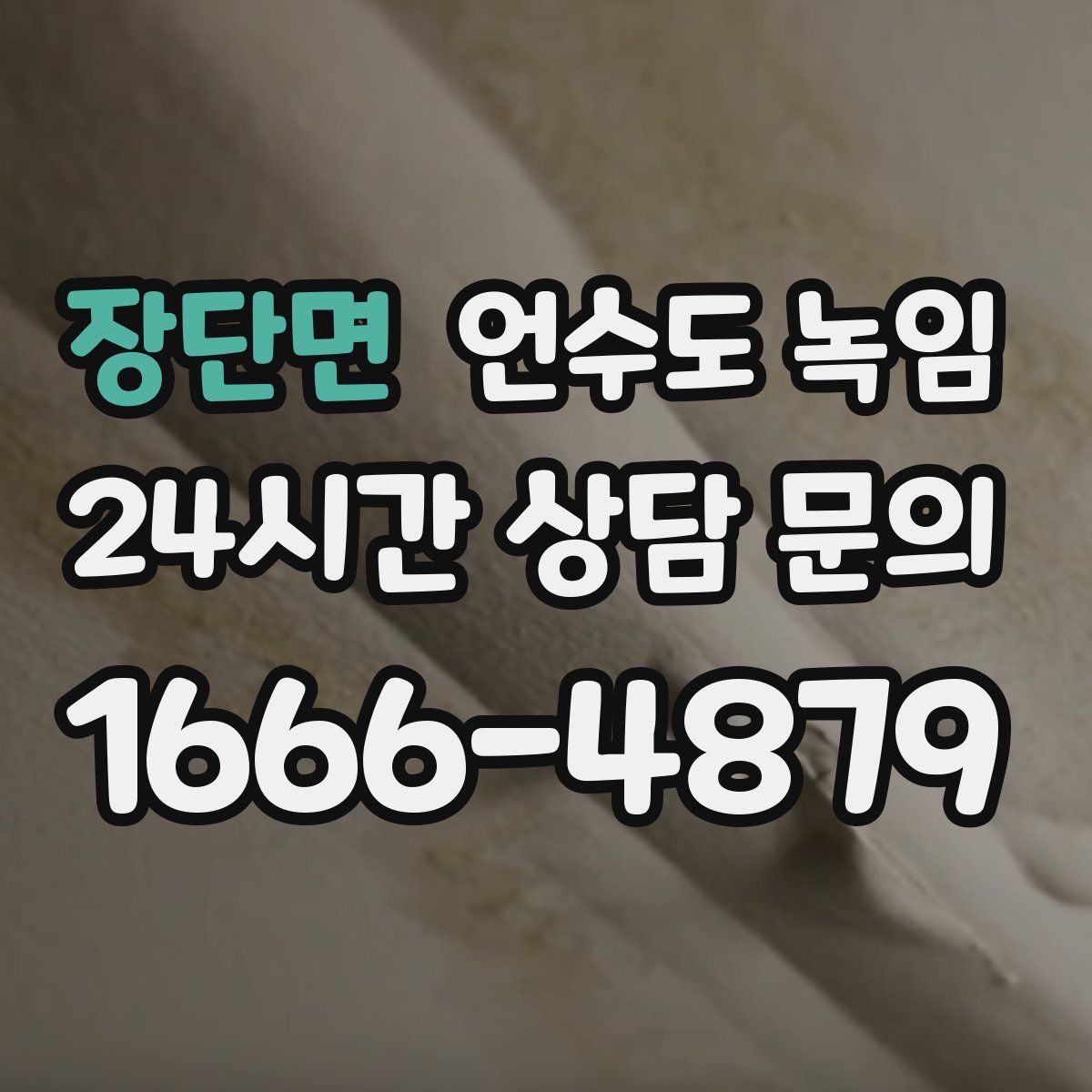 장단면 언수도 녹임