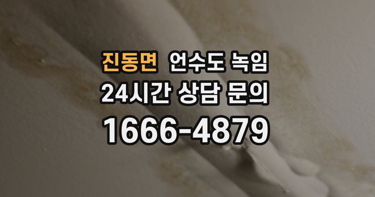 진동면 언수도 녹임