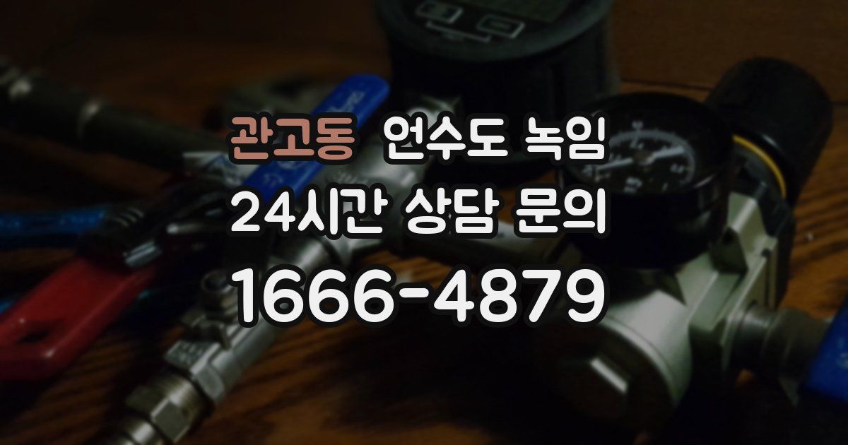 관고동 언수도 녹임