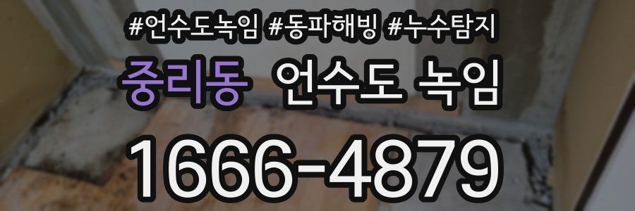 중리동 언수도 녹임