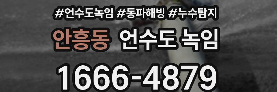 안흥동 언수도 녹임