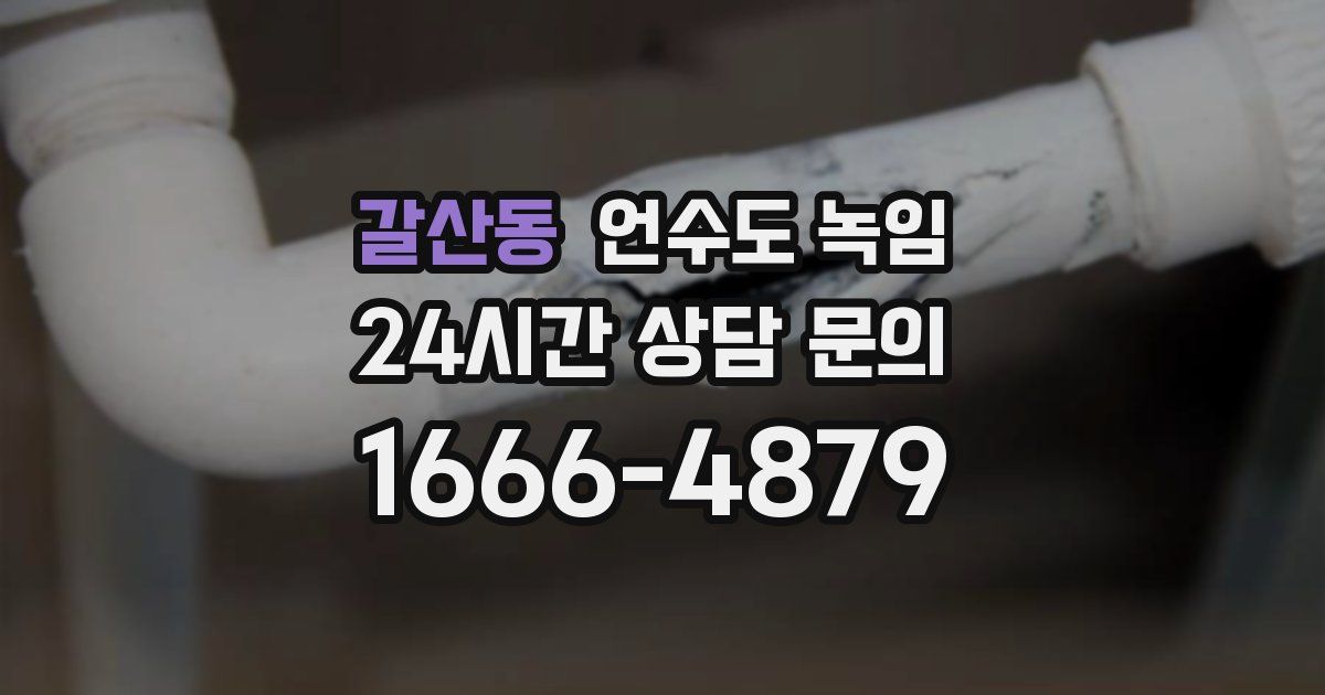 갈산동 언수도 녹임