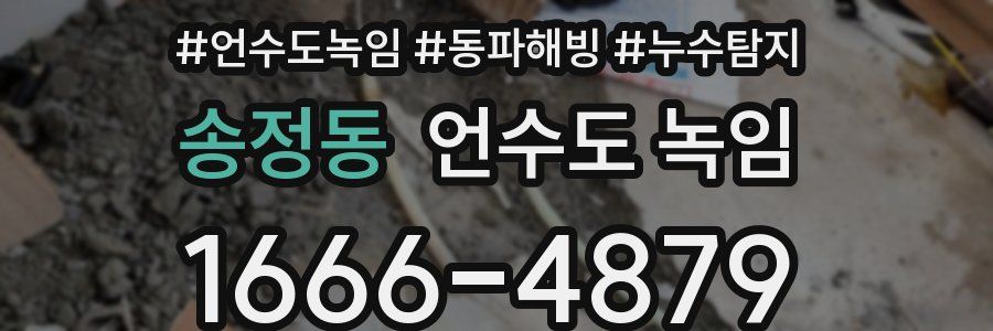 송정동 언수도 녹임