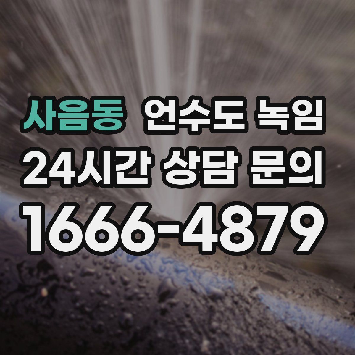 사음동 언수도 녹임