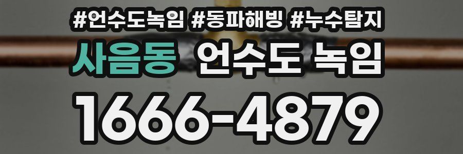 사음동 언수도 녹임