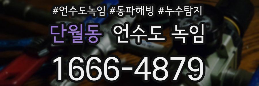 단월동 언수도 녹임