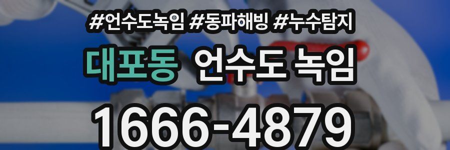 대포동 언수도 녹임