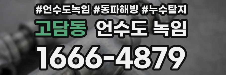 고담동 언수도 녹임